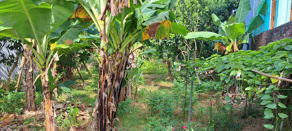 Bán đất tại đội 17 xã Thanh Xương - huyện Điện Biên