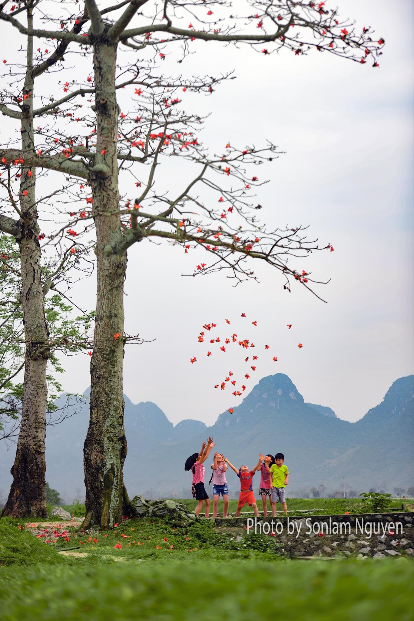 Mảnh đất vàng ngõ 67 Văn Cao, tiềm năng tăng trưởng, lô góc, 79m2, MT 11m, 7,6 tỷ