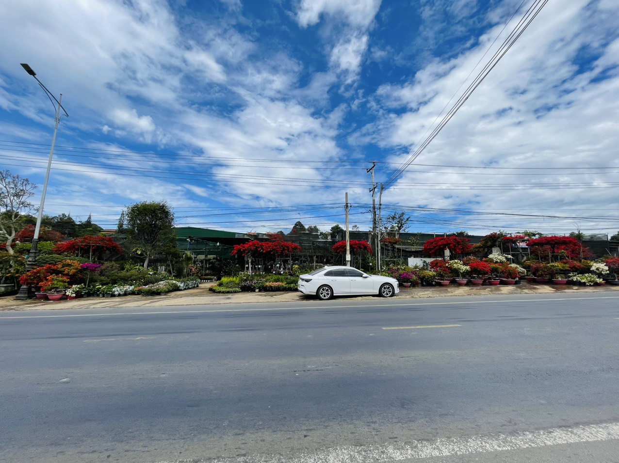 Bán Vườn Lan, 62m Mặt tiền quốc lộ 20, H.Đức Trọng,T.Lâm Đồng