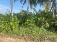 Cần Bán Đất Nền Đất Trồng Cây Lâu Năm.Xã Mỹ Bình, Ngã Năm, Sóc Trăng