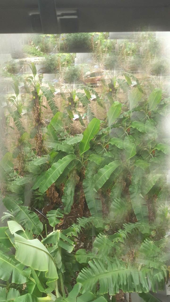 Bán nhanh bán gấp khu Võ Cường 63m², chỉ hơn tỷ