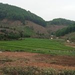  1000m2 - 1