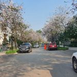  450m2 - 3