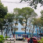  180m2 - 1