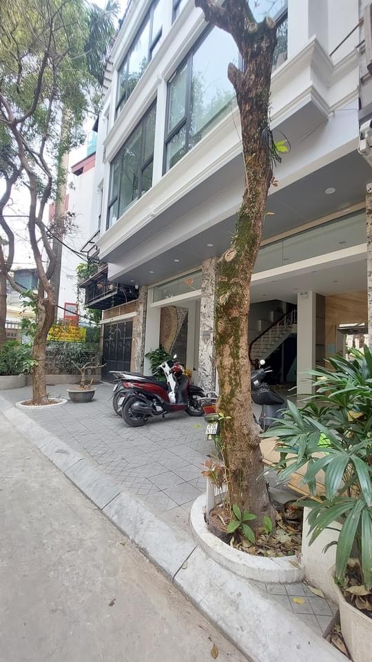 PHÂN LÔ VIP HBT - Ô TÔ TRÁNH - SỔ NỞ HẬU.