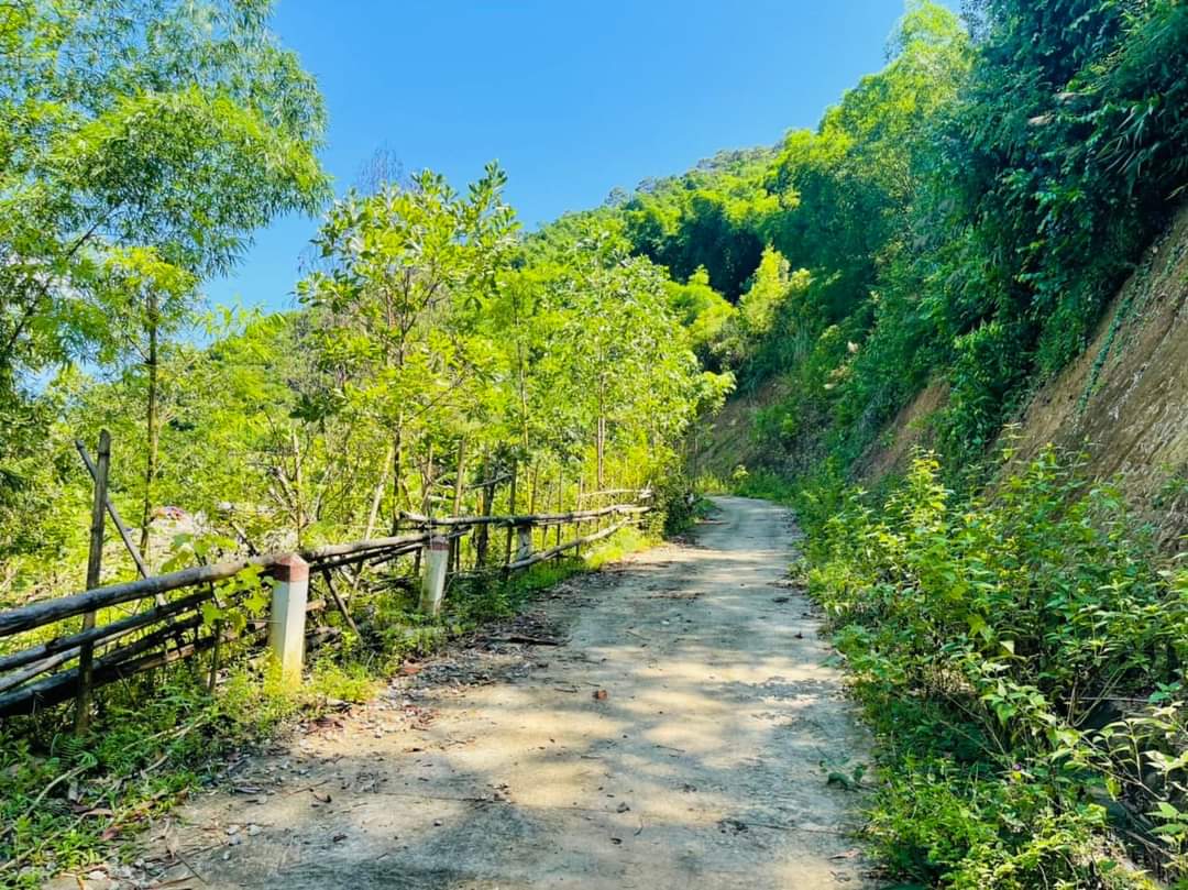 BÁN LÔ ĐẤT BÁM HỒ TẠI TIỀN PHONG, ĐÀ BẮC HÒA BÌNH SIÊU VIP 7646M ĐẤT ONT 900M, CÒN LẠI LÀ ĐẤT TRỒNG CÂY LÂU NĂM GIÁ 3.8 TỶ. LIÊN HỆ : 0388483338 .