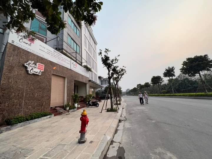 Bán Biệt thự Khu Biệt Thự Minh Tâm Tư Đình Long Biên 100m, 6 tầng mặt tiền khủng 8m chỉ 19.9 tỷ