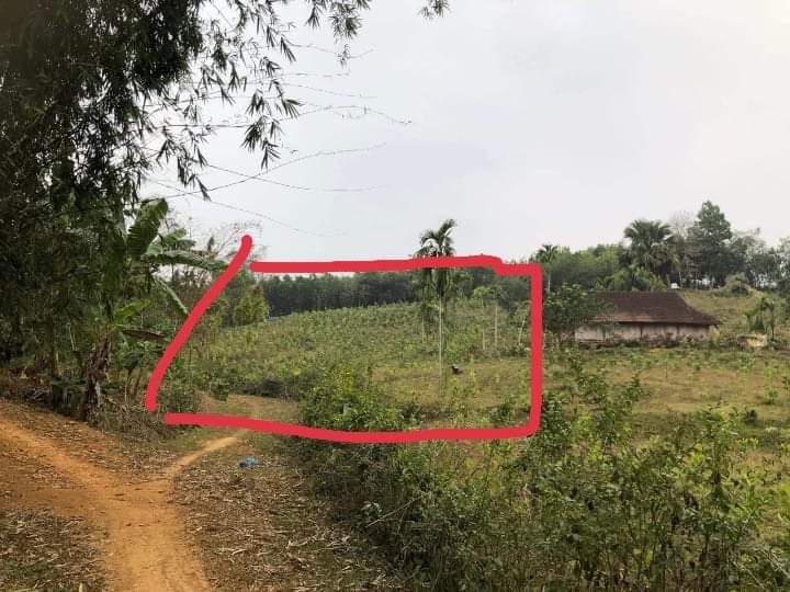 .BÁN MẢNH ĐẤT SIÊU VÍP, SIÊU HẠT RẺ THÍCH HỢP XÂY NHÀ VƯỜN, BIỆT THỰ ĐỂ NGHỈ DƯỠNG CUỐI TUẦN, KHÔNG KHÍ TRONG LÀNH, YÊN TĨNH