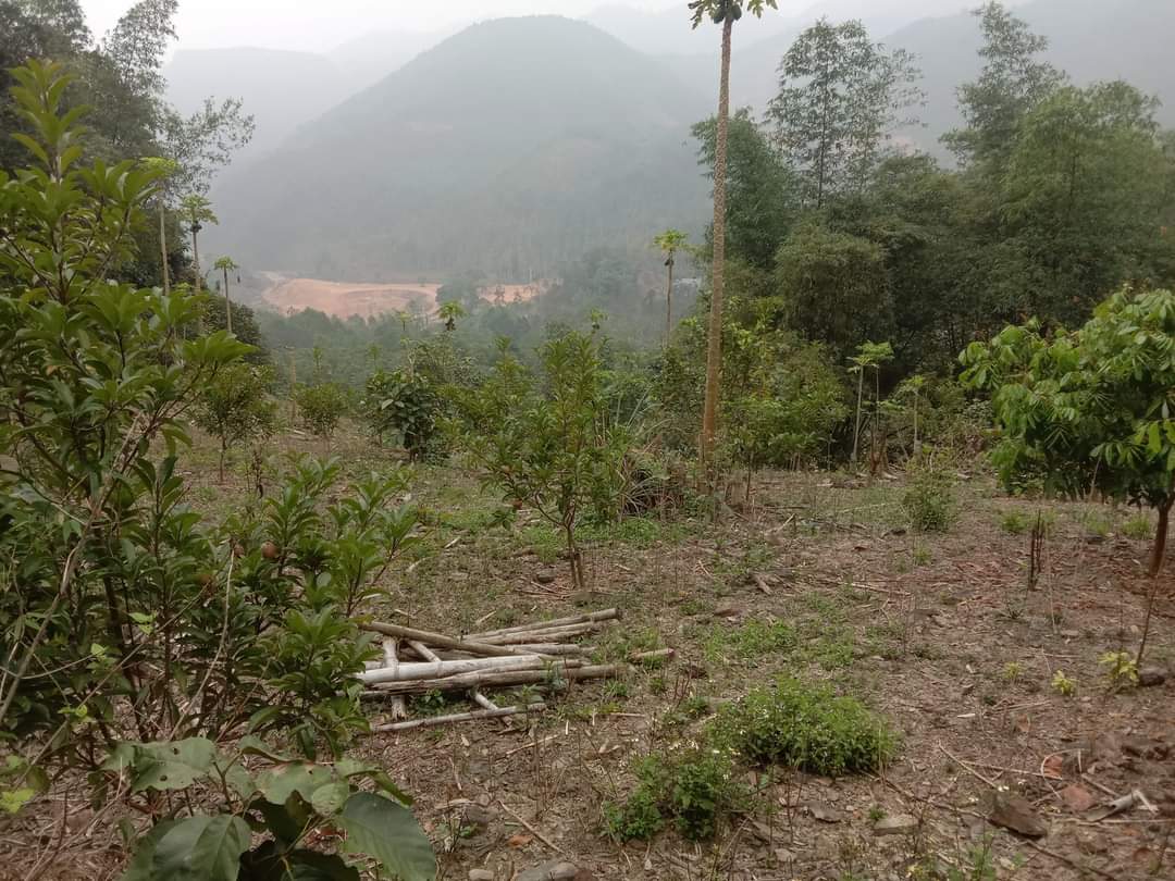 ❤️CHỦ CẦN BÁN MẢNH ĐẤT RSX TẠI ĐÀ BẮC TP HÒA BINH, 75400 M, DIỆN TÍCH THỰC TẾ LÀ 11ha ❤️