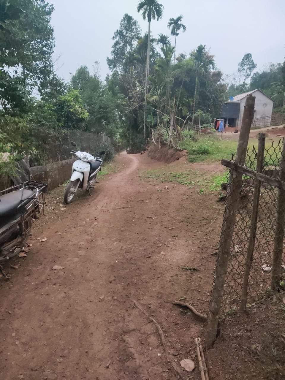 BÁN LÔ ĐẤT NGHỈ DƯỠNG TẠI NHÂN MỸ, TÂN LẠC HÒA BÌNH, CÓ 432 THỔ CƯ, 1900 ĐẤT TRỒNG CÂY LÂU NĂM, 400HNK, GIÁ 1 TỶ