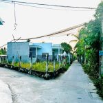  56m2 - 5