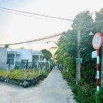  56m2 - 4