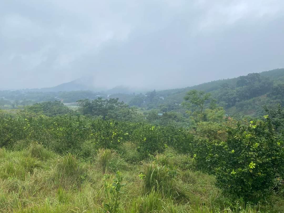 ❤️❤️ BÁN MẢNH ĐẤT SIÊU VIP TẠI ĐÀ BẮC VỚI VỊ TRÍ CAO THOÁNG , THÍCH HỌP LÀM NGHỈ DƯỠNG CUỐI TUẦN YÊN TĨNH TRONG LÀNH . DIỆN TÍCH 4000M ❤️❤️