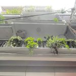  40m2 - 1