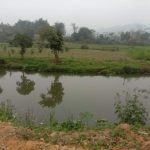  350m2 - 3