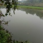 350m2 - 4