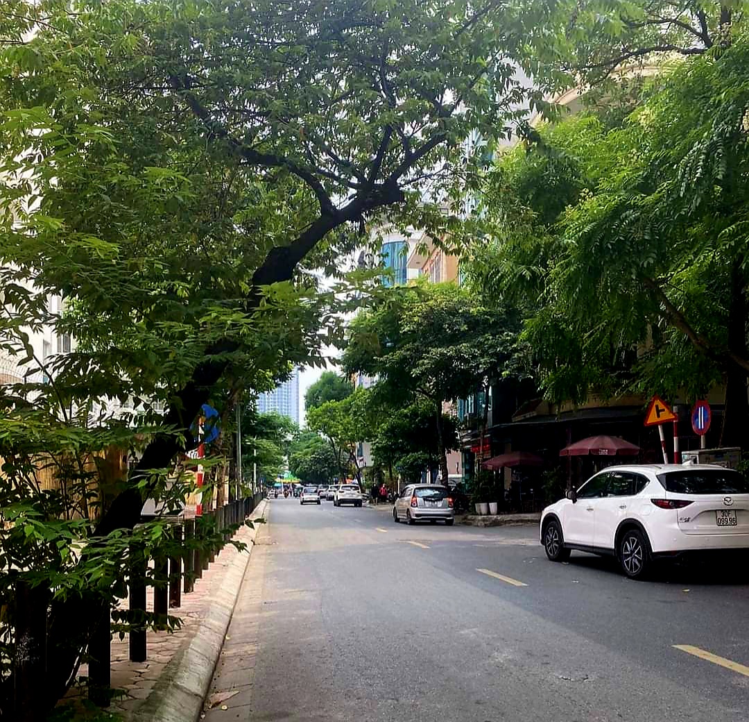 Mặt phố Trung tâm quận Cầu Giấy, 68m2, 8 tầng, THANG MÁY, kinh doanh sầm uất, 27 tỷ