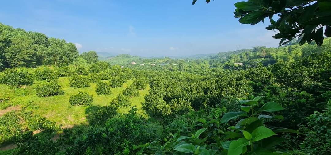 BÁN MẢNH ĐẤT SIÊU VÍP, SIÊU HẠT RẺ SẴN BIỆT THỰ NGHỈ DƯỠNG CUỐI TUẦN YÊN TĨNH TRONG LÀNH. DIỆN TÍCH 25000M2 GIÁ CHỈ 2.6 TỶ