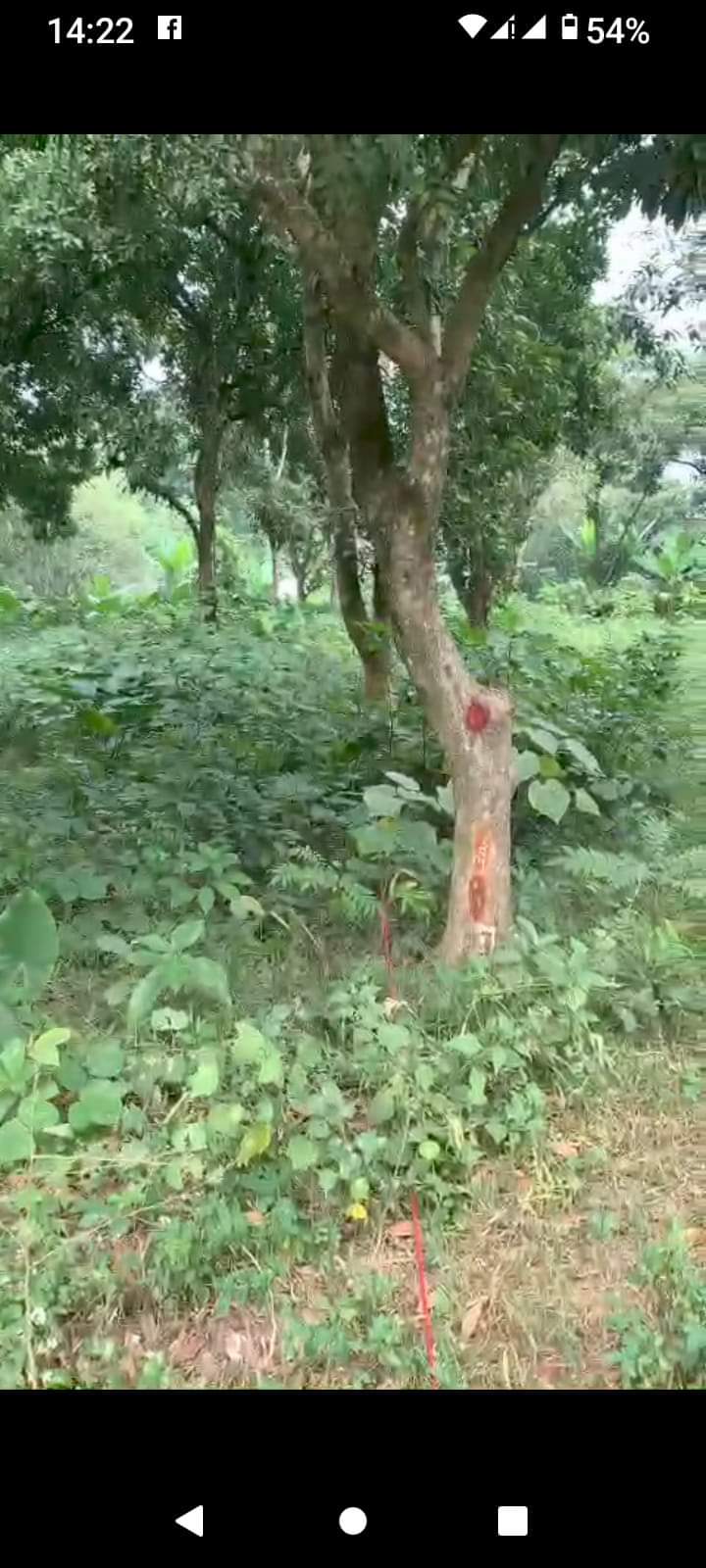 BÁN MẢNH ĐẤT TẠI LƯƠNG SƠN, HOÀ BÌNH. SIÊU TIỀM NĂNG, SIÊU VÍP, SIÊU HẠT RẺ, THÍCH HỢP LÀM NHÀ VƯỜN, BIỆT THỰ, HOMESTAY, RESORT, NGHỈ DƯỠNG