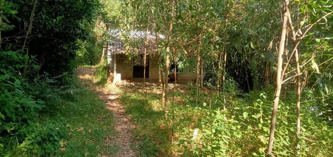 BÁN MẢNH ĐẤT RSX TẠI KIM BÔI SIÊU TIỀM NĂNG, SIÊU VÍP, SIÊU HẠT RẺ, THÍCH HỢP LÀM DỰ ÁN SINH THÁI, NHÀ VƯỜN, NGHỈ DƯỠNG, RESORT, HOMESTAY