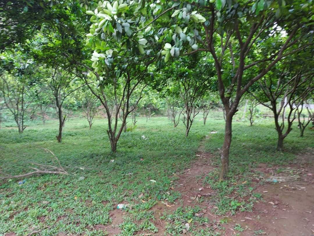 BÁN MẢNH ĐẤT SIÊU VÍP, SIÊU HẠT RẺ THÍCH HỢP LÀM BIỆT THỰ NGHỈ DƯỠNG CUỐI TUẦN YÊN TĨNH TRONG LÀNH DIỆN TÍCH 5914 , GIÁ CHỈ 6TỶ