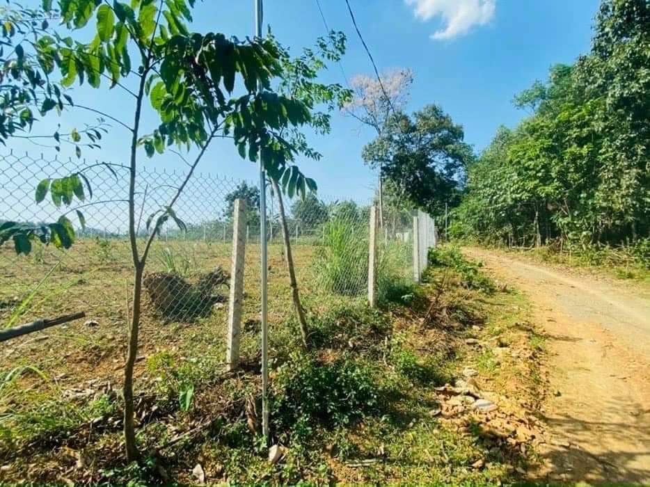 ✴️✴️✴️ BÁN MẢNH ĐẤT TẠI TÂN LẠC HOÀ BÌNH SIÊU TIỀM NĂNG, SIÊU VÍP, SIÊU HẠT RẺ ✴️✴️✴️