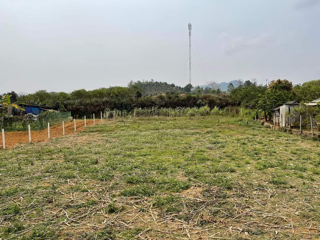 BÁN MẢNH ĐẤT TẠI CAO PHONG , HOÀ BÌNH. SIÊU TIỀM NĂNG, SIÊU VÍP, SIÊU HẠT RẺ, THÍCH HỢP XÂY NHÀ VƯỜN, BIỆT THỰ .