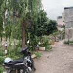  42m2 - 1