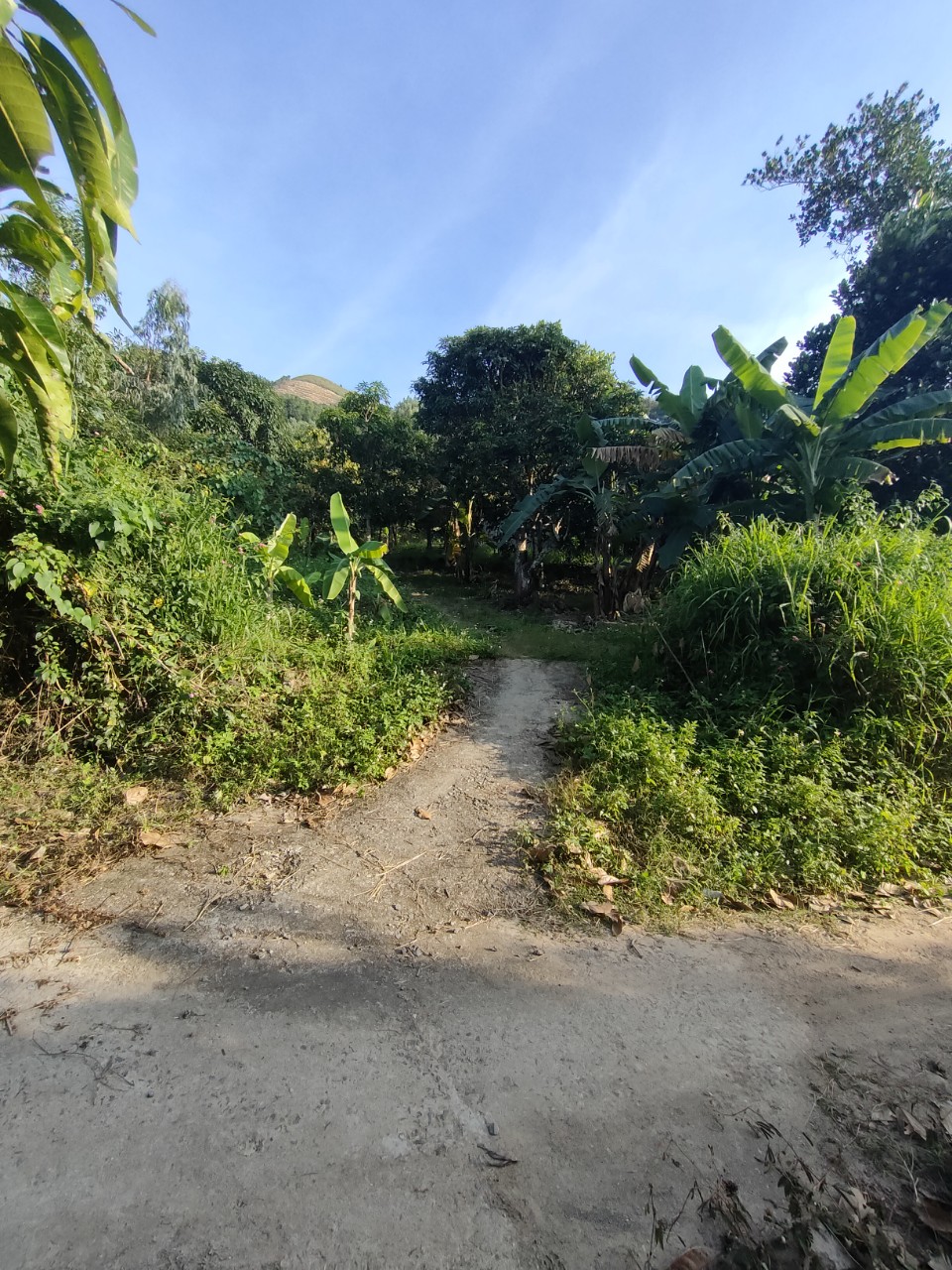 Cần Bán ngay lô Đất tuyệt Đẹp,làm kho xưởng,Biệt thự Nhà vườn,Trang trai...