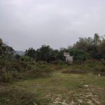  4708m2 - 5