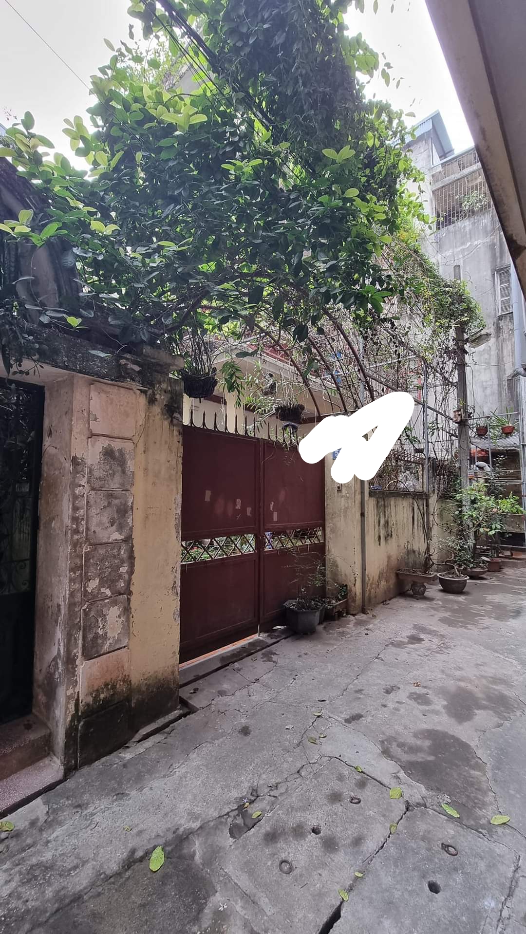 MẢNH ĐẤT VÀNG- NGUYỄN PHÚC LAI_ĐỐNG ĐA _GẦN HỒ HOÀNG CẦU- OTO VÀO NHÀ- ĐẦU TƯ XÂY CCMN, TÒA NHÀ.