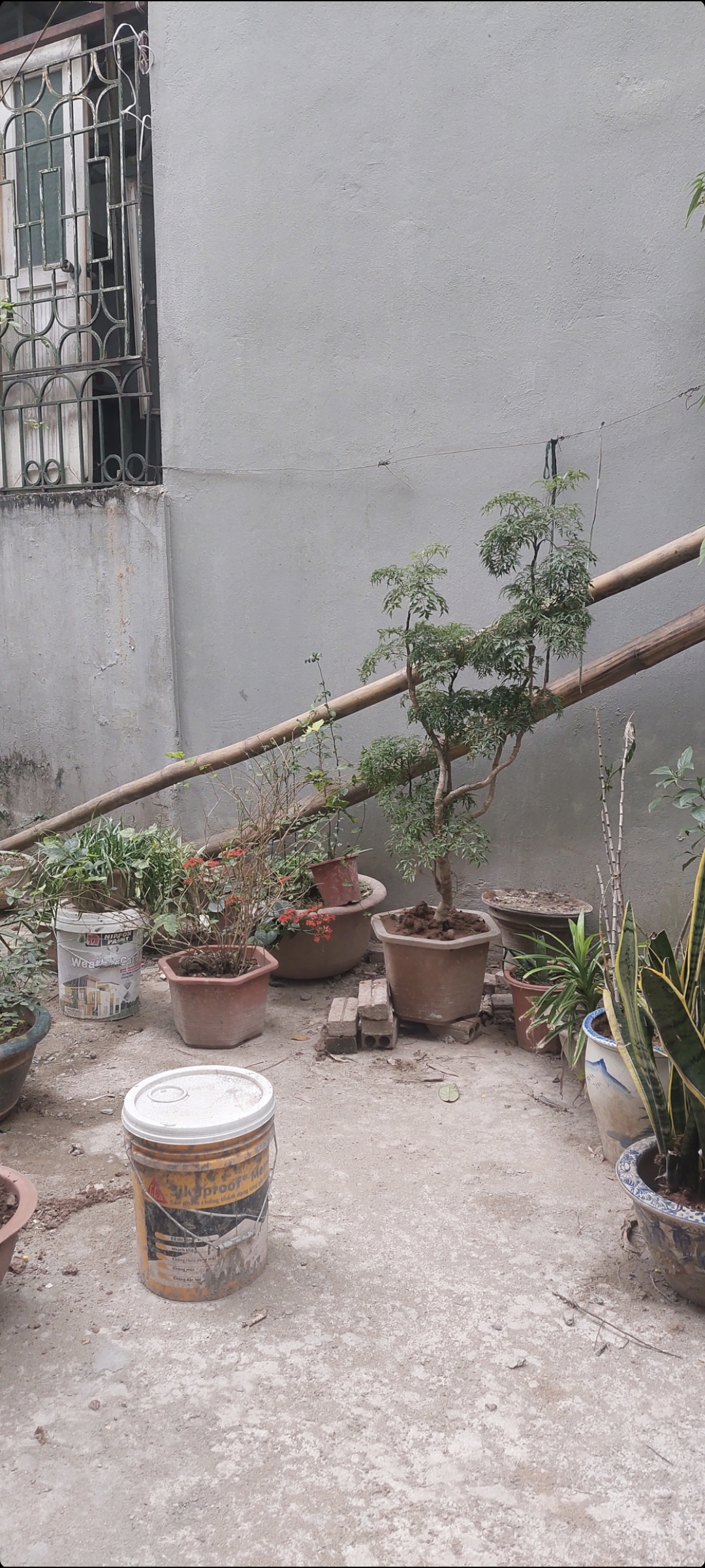 Bán Đất Thổ Cư Mặt Ngõ Ôtô Tránh Xuân La Xuân Đỉnh Tây Hồ 212m2 MT 11m Giá 18 Tỷ Đường Rộng Ô tô Thông Kinh Doanh