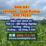  3619m2 - 1