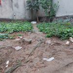 50m2