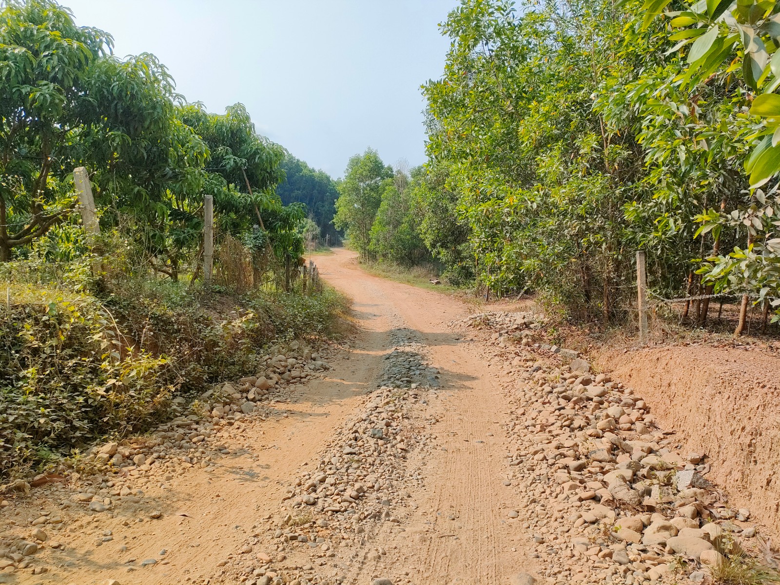 Đất Diên Lâm giá rẻ làm vườn gần Pháp Viện Thánh Sơn