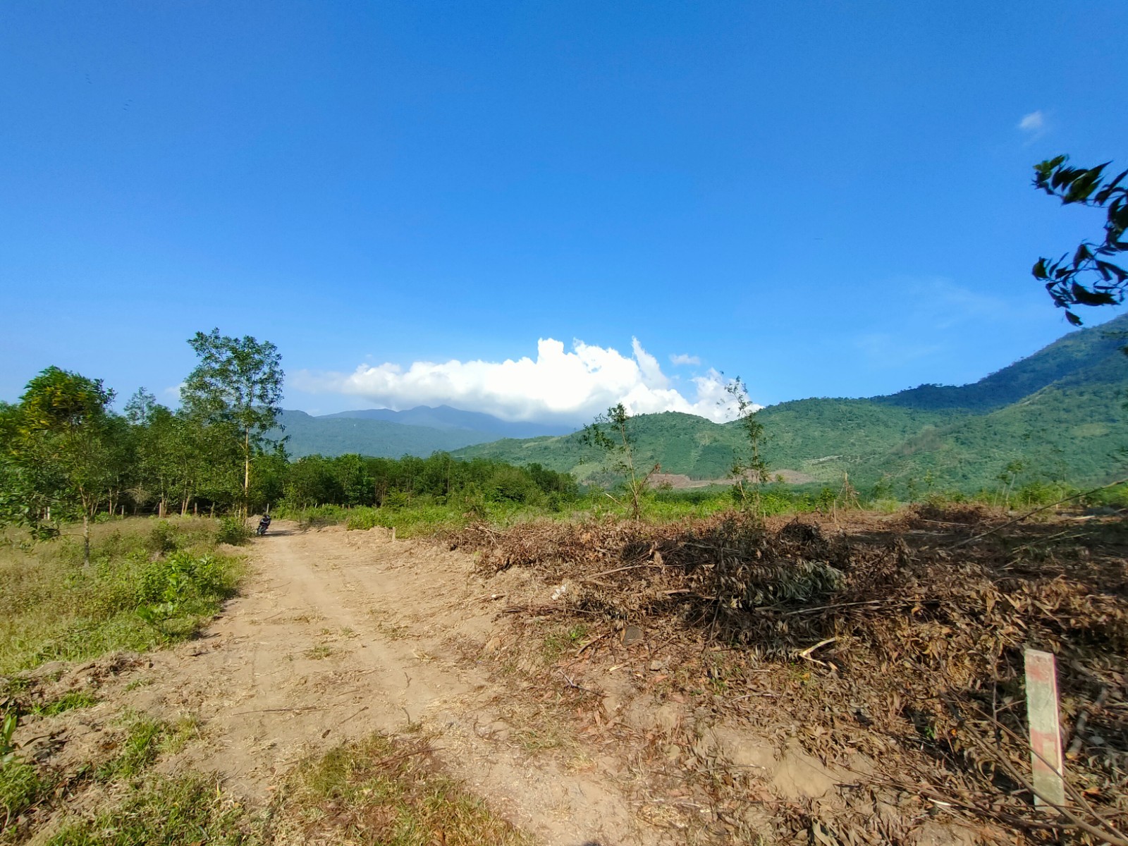 Bán đất Khánh Đông - Khánh Vĩnh giá rẻ làm vườn