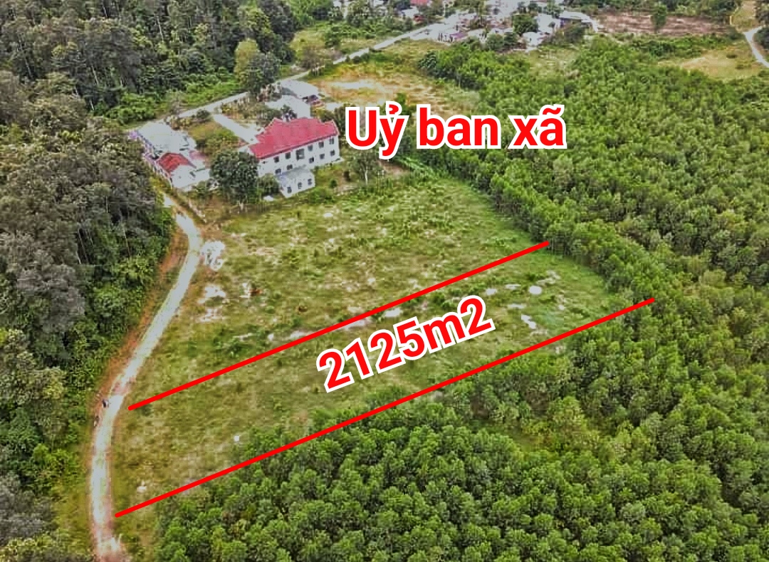 Bán đất Khánh Thượng giá rẻ ngay sau lưng Ủy Ban xã đường oto