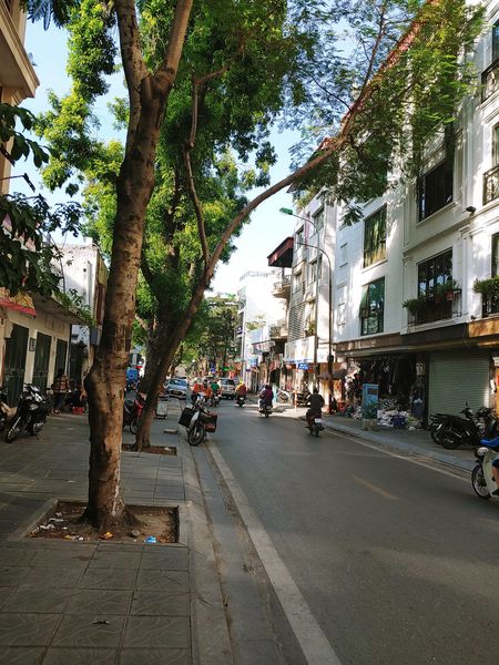 Phân lô Huỳnh Thúc kháng Lô góc 7 tầng mới xây kinh doanh vp đẳng cấp