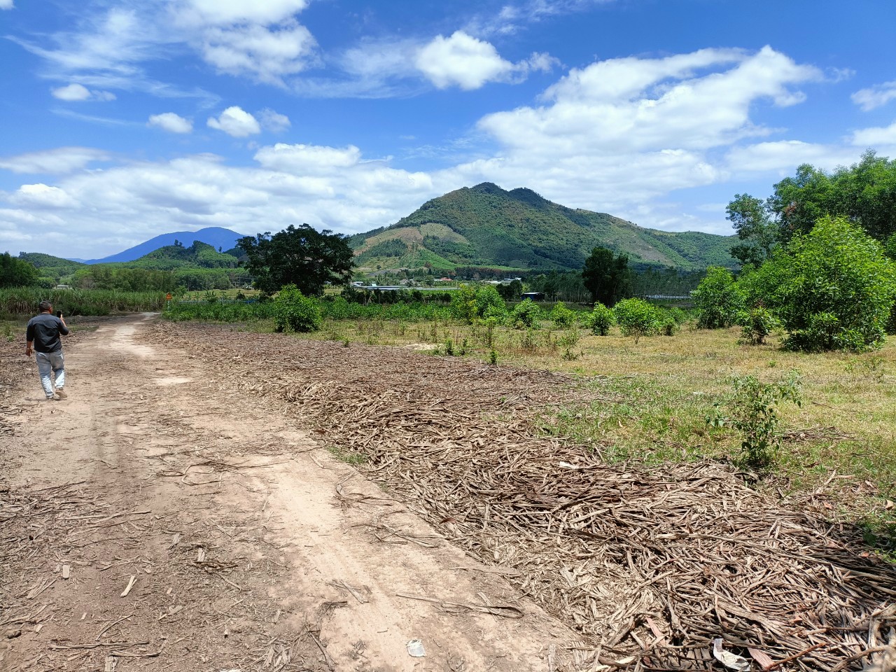 Bán đất Diên Tân 2990m2 gần Hương Lộ 62 giá rẻ lập vườn