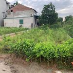  350m2 - 4