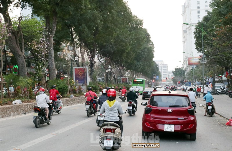 CHO THUÊ NHÀ MẶT PHỐ GIẢNG VÕ 55M2 – MT 4.8M.