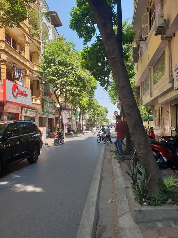 Bán Nhà Vũ Ngọc Phan, KD Sầm Uất, Vỉa Hè Oto Tránh Đỗ, Cây Xanh Bóng Mát, Vị Trí Đẹp, 53m2x4,3m 5 Tầng