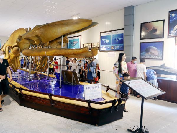 Viện Hải dương học Nha Trang cách Nhà thờ Đá Nha Trang 1,5km nha-tho-da-nha-trang-4
