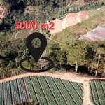  5000m2 - 5