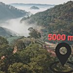  5000m2 - 1