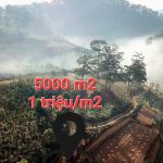  5000m2 - 3