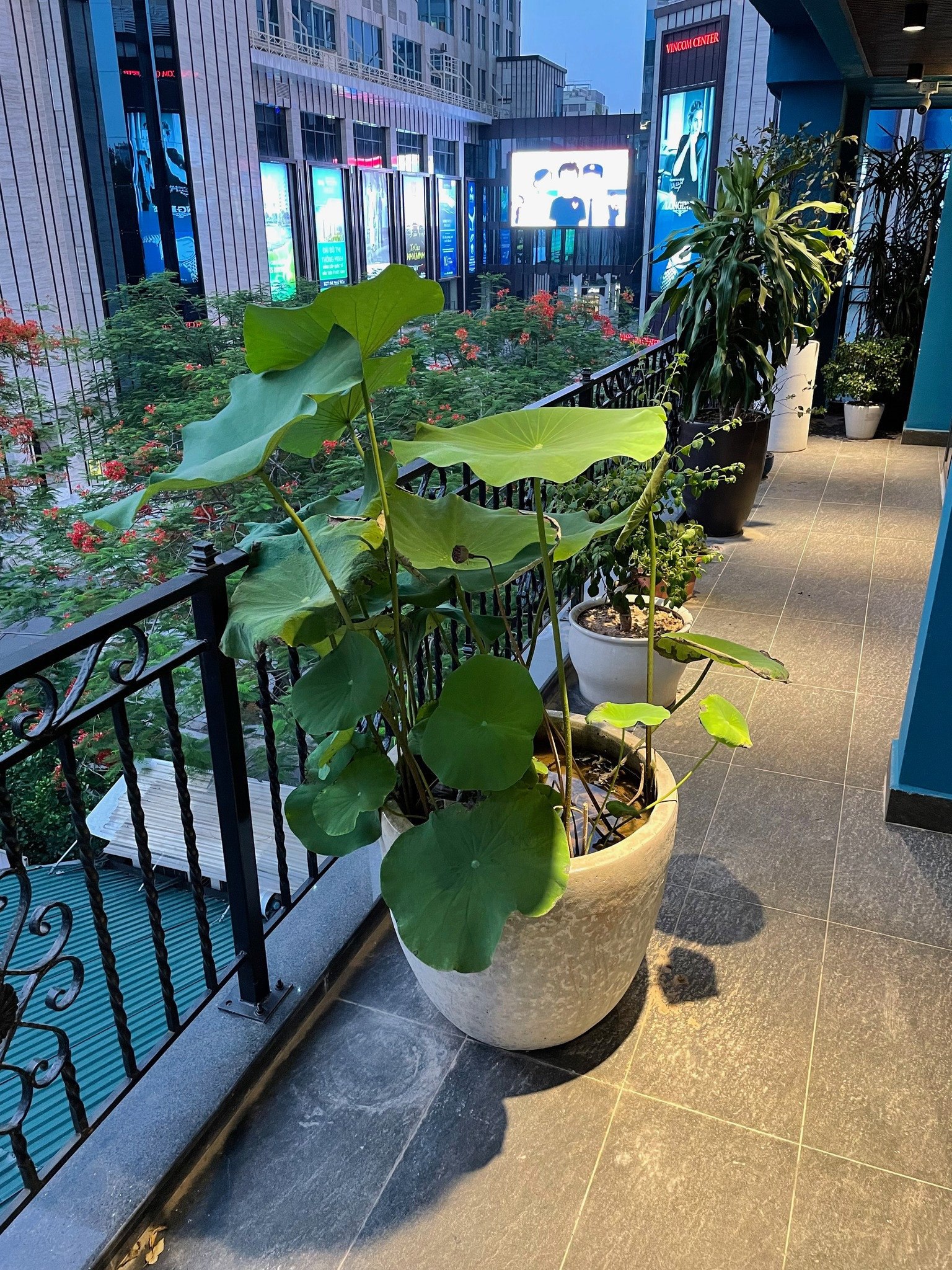 Cho thuê TẦNG 5 nhà MP Thái Phiên, Bà Triệu, DT sdung 190m, MT 7m làm nhà hàng cafe đối diện VINCOM