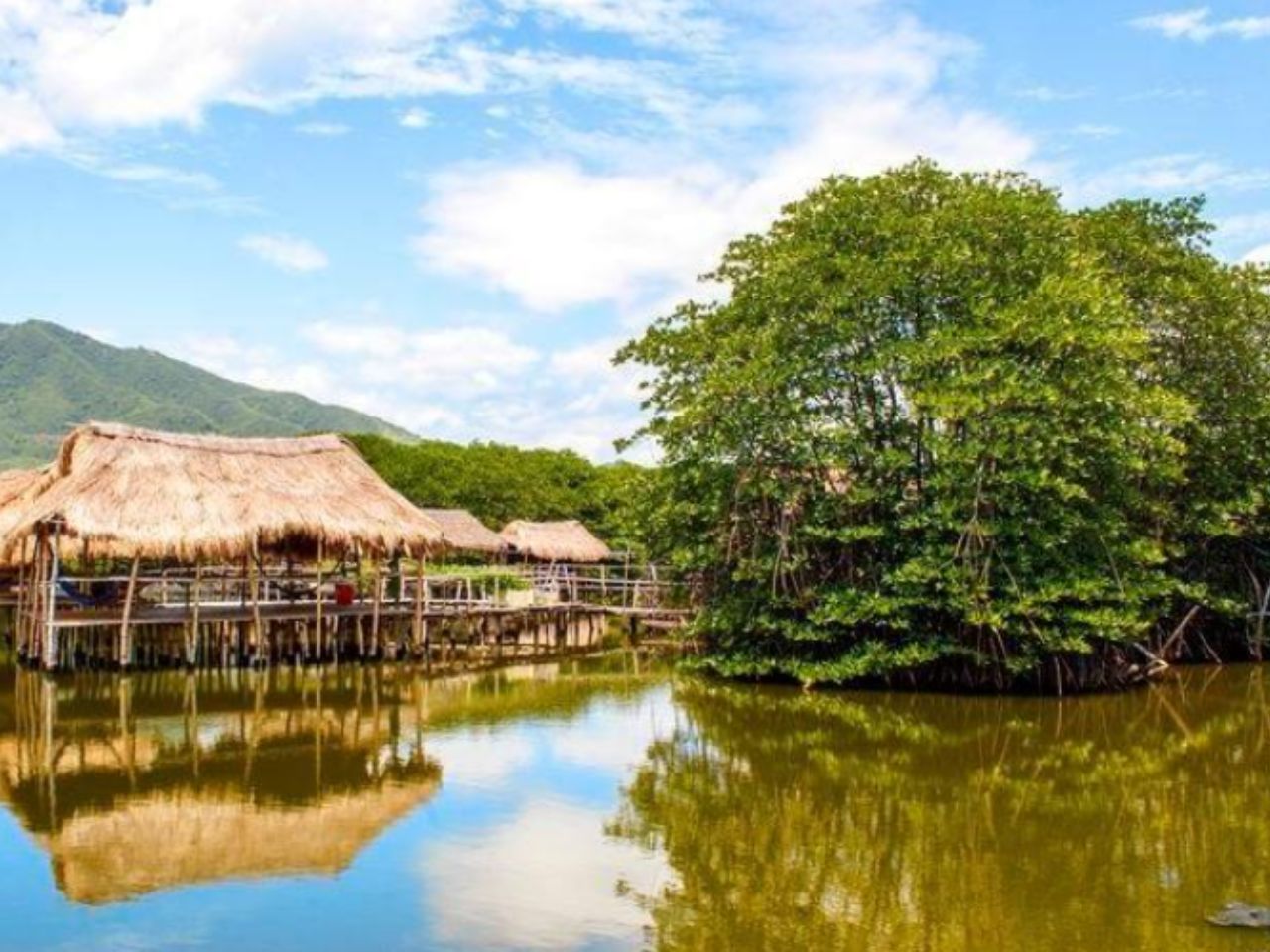 rung-duoc-nha-trang-0