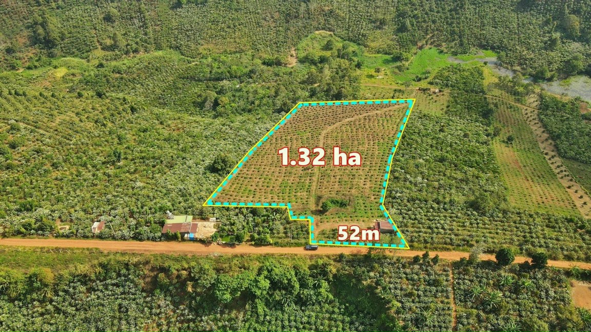 Anh khách kẹt tiền ra gấp lô đất sào 1,32ha tại Di Linh - Bảo Lộc