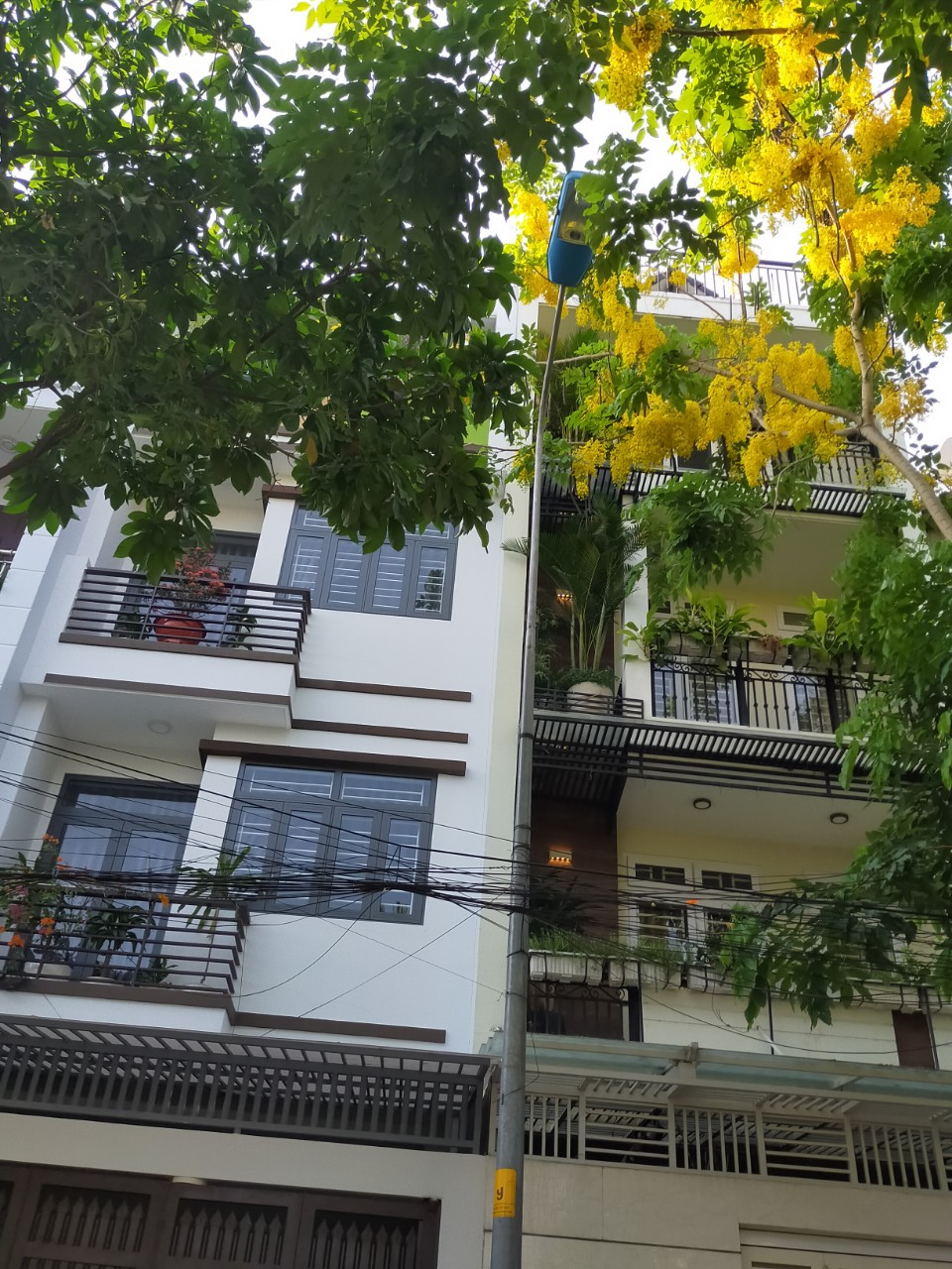 Bán Nhà - Căn Hộ Dịch Vụ 4 Tấm 14 Phòng Ngủ Hẻm 6m Nguyễn Thái Sơn Phường 4 Gò Vấp Hơn 10 Tỷ